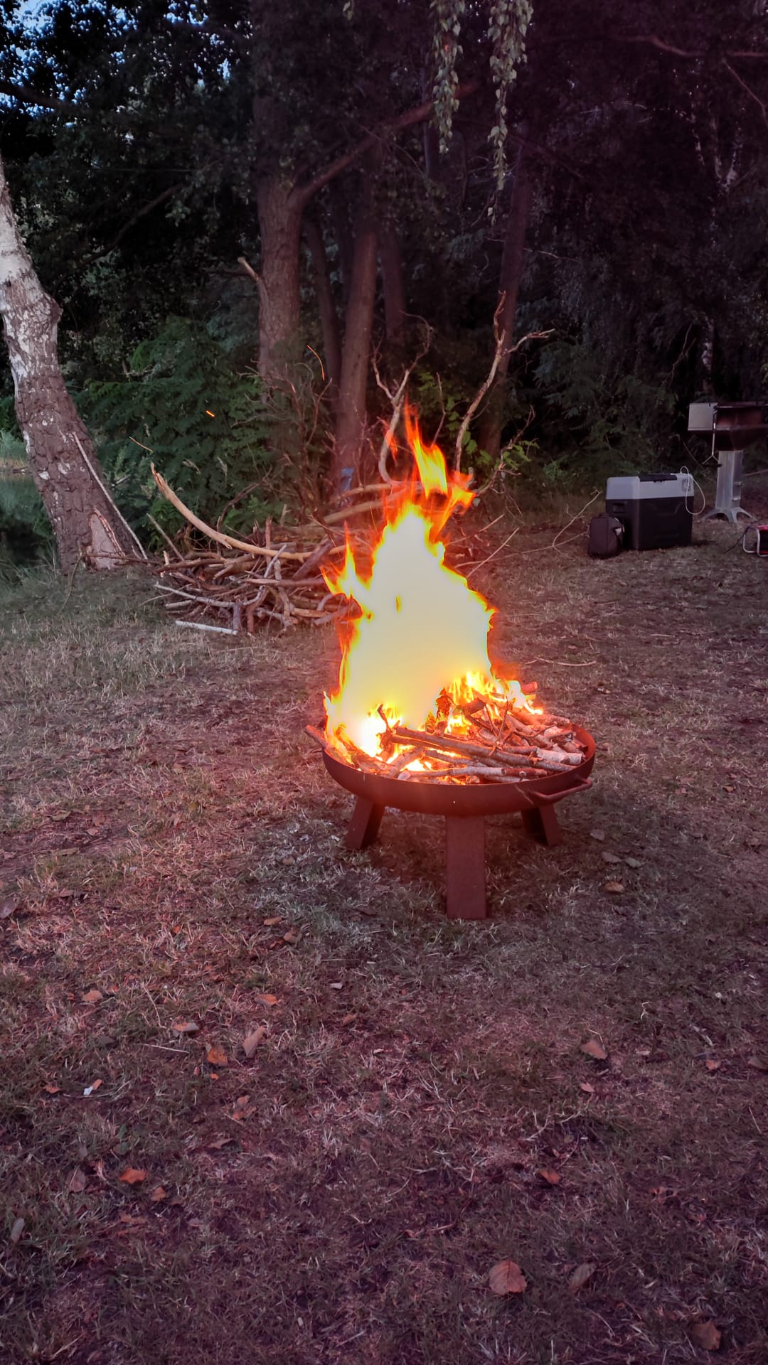 Jugendnachtangeln 2025